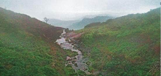 சுற்றியுள்ள மாநிலங்களில் வெள்ளப் பெருக்கு: வறட்சியின் பிடியில் வரலாற்று புகழ் வைகை! காரணம்?