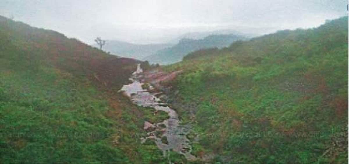 சுற்றியுள்ள மாநிலங்களில் வெள்ளப் பெருக்கு: வறட்சியின் பிடியில் வரலாற்று புகழ் வைகை! காரணம்?