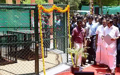 புலி குட்டிகளுக்கு பெயர் சூட்டிய  முதல்வர்