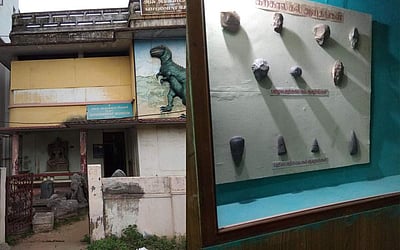 கடலூர்அருங்காட்சியகத்தில் அரிய சிலைகள்