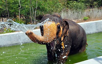 உயிா்களிடத்தில் அன்பு வேணும்...
