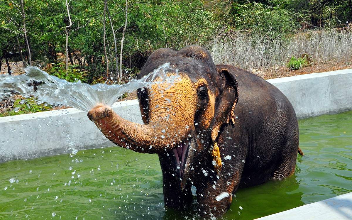 உயிா்களிடத்தில் அன்பு வேணும்...