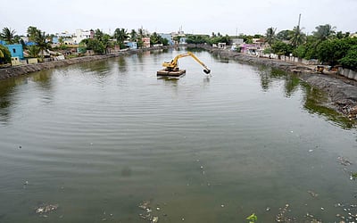 புத்துயிர் பெறும் தாமரை குளம்