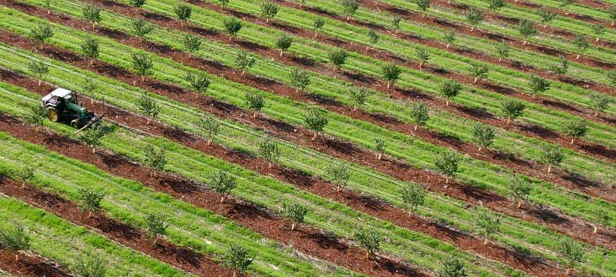 இஸ்ரேலின் விவசாய தொழில் நுட்பம் தமிழகத்துக்கு கைகொடுக்குமா?