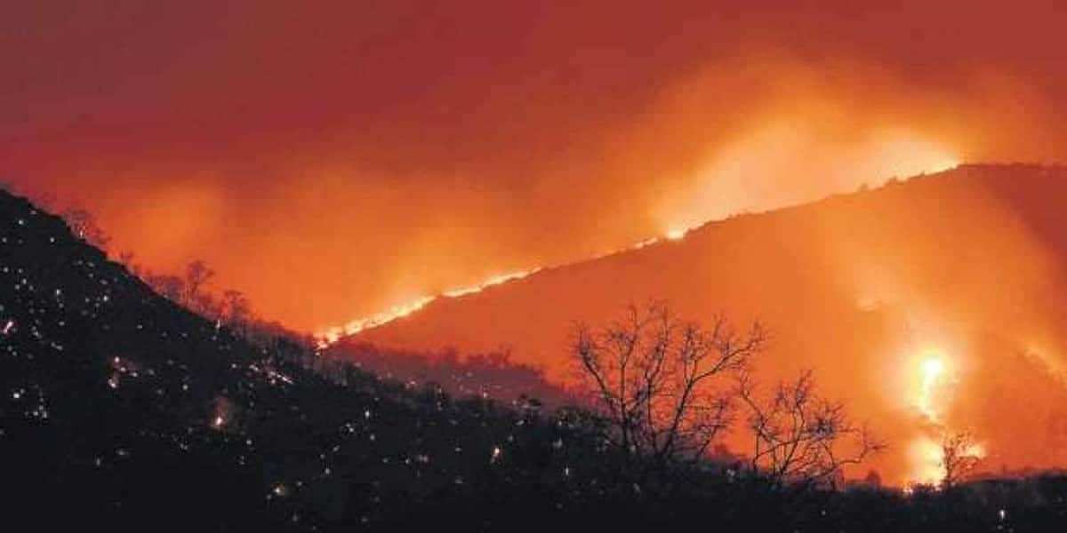 பற்றியெரியும் உலகின் நுரையீரல்... அமேசான் தீ இயற்கையா? மனிதனால் ஏற்படுத்தப்பட்டதா?