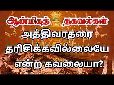 மயிலாடுதுறையில் அருள்பாலித்துவரும் பிரம்மாண்ட அத்திவரதர்