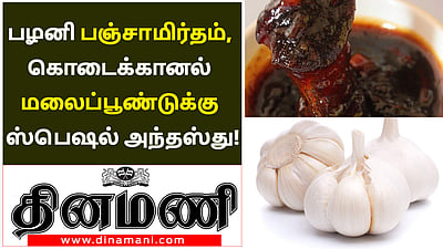 பழனி பஞ்சாமிர்தம், கொடைக்கானல் மலைப்பூண்டுக்கு ஸ்பெஷல் அந்தஸ்து