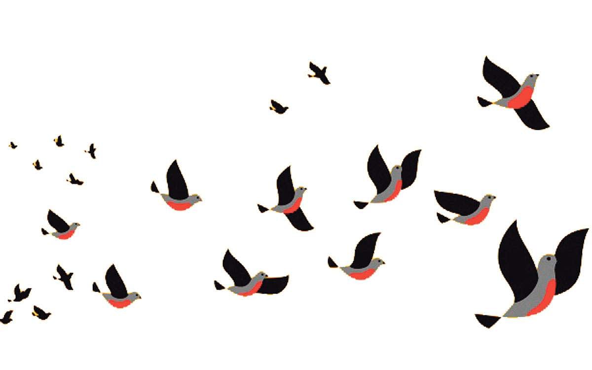 குழந்தைப் பாட்டு!: கூடி வாழ்வோம்!