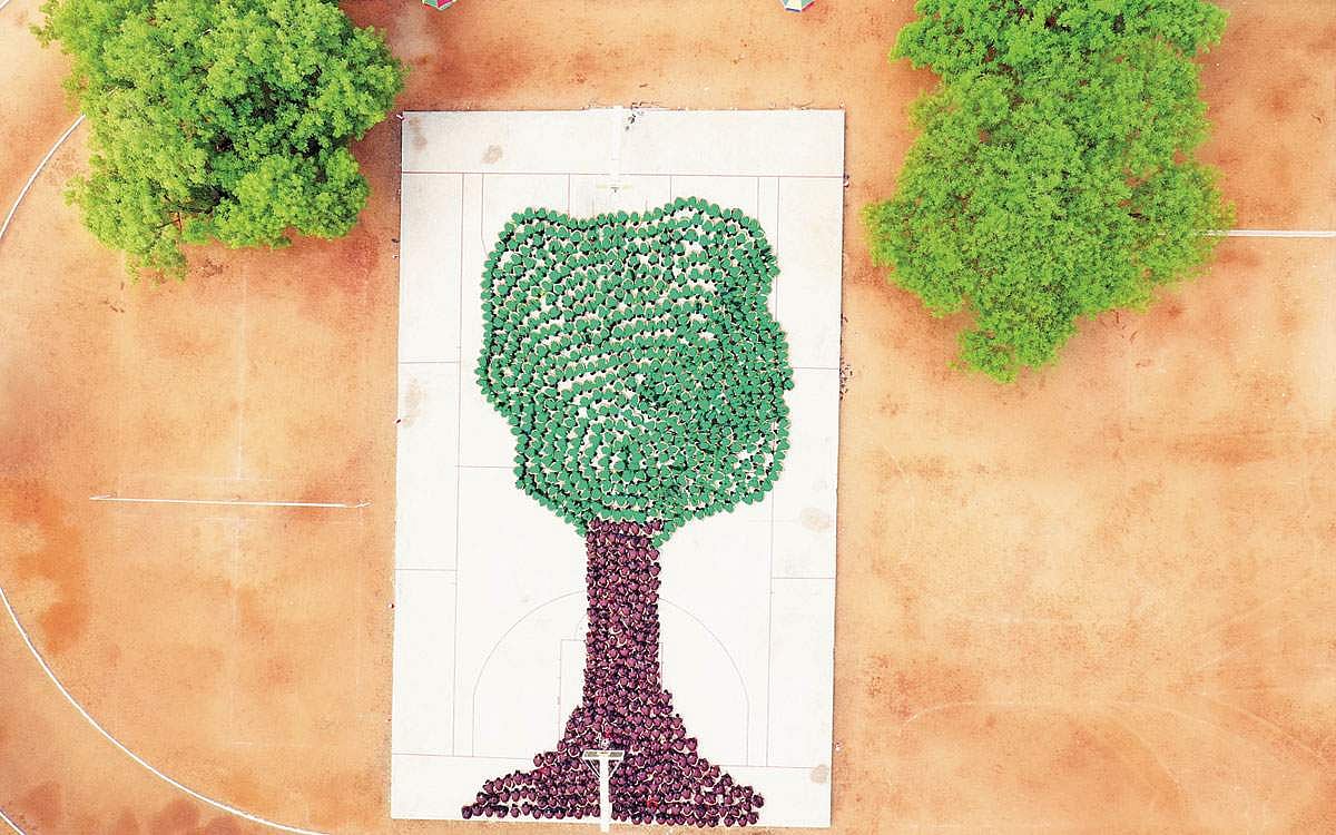 மரம் வடிவில் அணிவகுத்த மாணவிகள்!