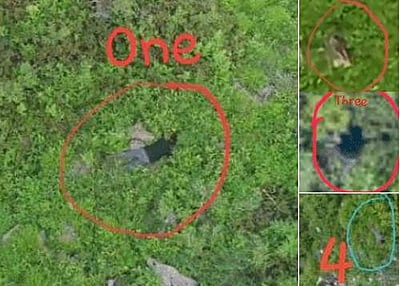 காஷ்மீருக்குள் ஊடுருவ முயன்ற தீவிரவாதிகள் 7 பேர் சுட்டுக்கொலை