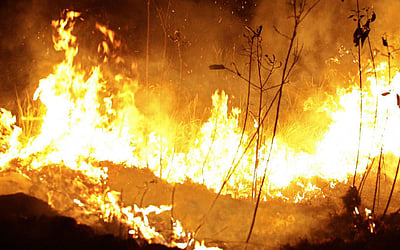 அமேசான் காட்டுத் தீ