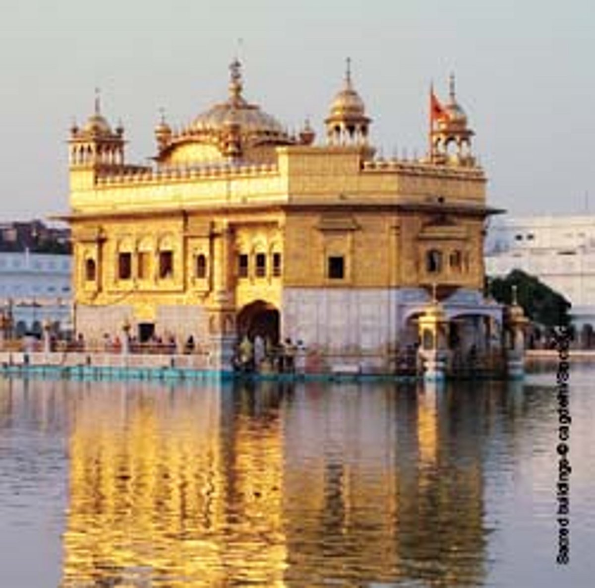 பாகிஸ்தானில் கட்டாய மதமாற்றம்: கடத்தப்பட்ட சீக்கியப் பெண் மீட்பு; 8 பேர் கைது!