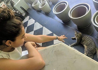 ஆண்டிரியாவுக்கு அப்படி என்ன ஆச்சு? இன்ஸ்டாகிராமில் அவரே தந்த விளக்கம்!