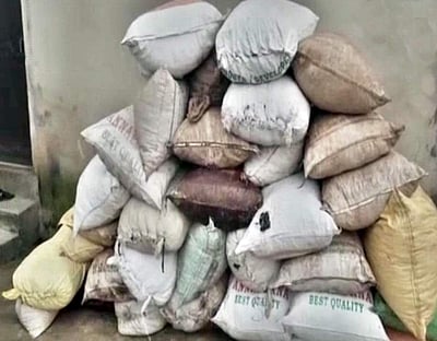 ஒரே வீட்டில் இருந்து 925 கிலோ கஞ்சா பறிமுதல்