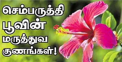 உணவில் செம்பருத்திப் பூவை சேர்த்துக் கொள்வதால் என்ன பலன்?