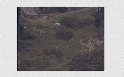 உயிரிழந்த வீரர்களின் உடல்களை வெள்ளைக் கொடியுடன் வந்து எடுத்துச் சென்ற பாகிஸ்தான் ராணுவத்தினர்