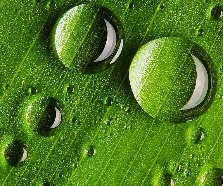 25. தெளிவுபெற்ற மதியினாய் வா.. வா.. வா..!