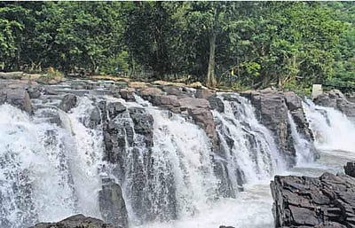 ஒகேனக்கல் அருவிகளில் நீர்வரத்து அதிகரிப்பு!