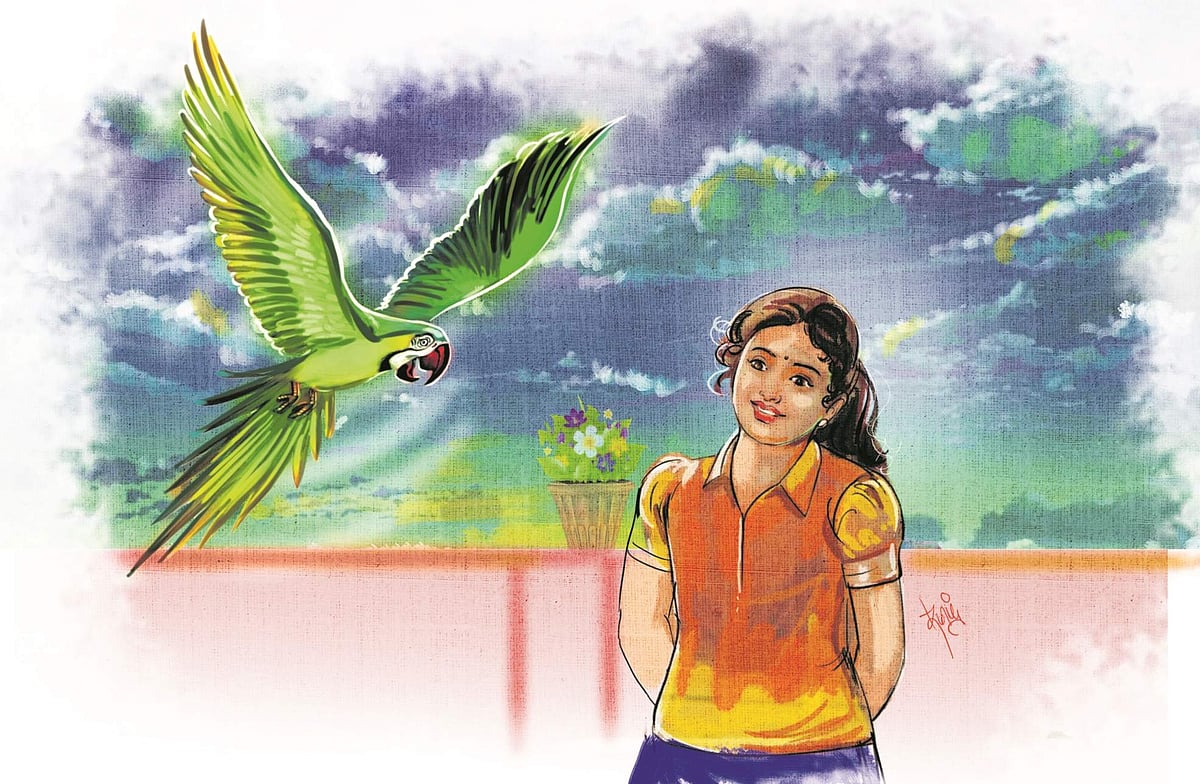 பெரிய மரத்துக் கிளிகள்