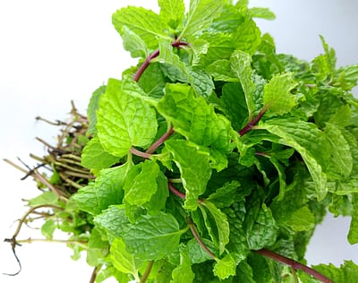 வாசனைக்கு மட்டுமல்ல; அற்புத மருத்துவ குணங்கள் நிறைந்த புதினாக் கீரை!