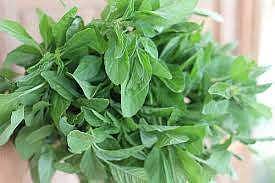 சூட்டினால் உண்டாகும் கபம் சார்ந்த குறைபாடுகளை தீர்க்க உதவும் கசாயம்