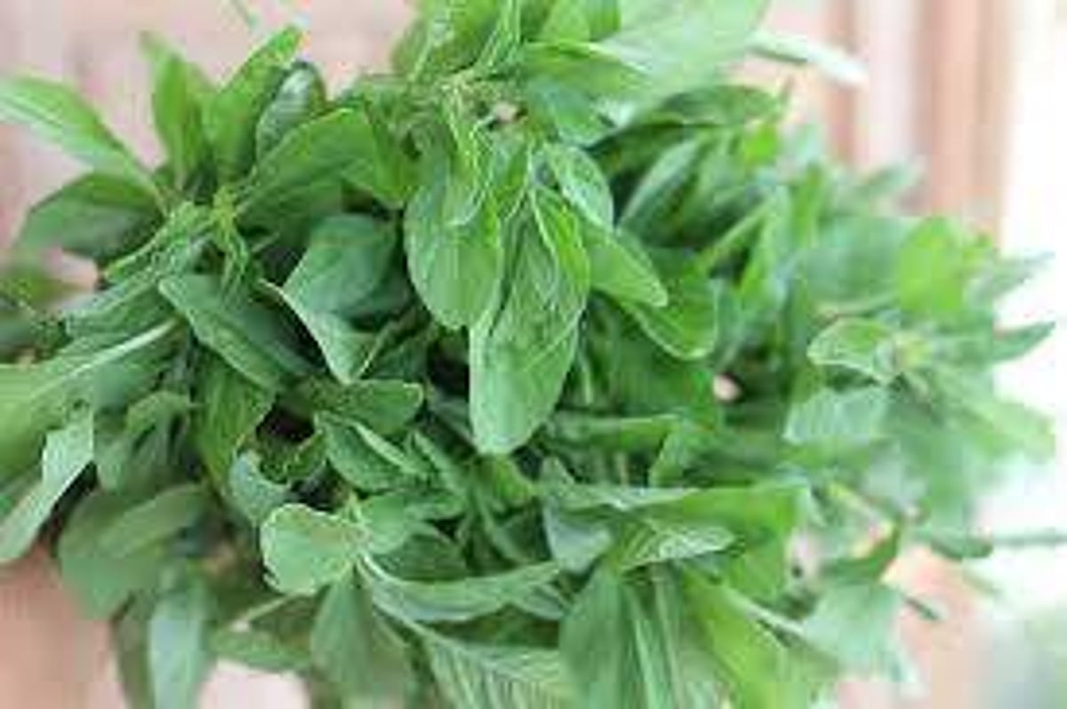 உடல் பருமன் மற்றும் உடல் வீக்கத்தை குறைக்க உதவும் கசாயம்