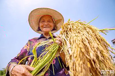 சீனாவில் இன்று அறுவடைத் திருவிழா