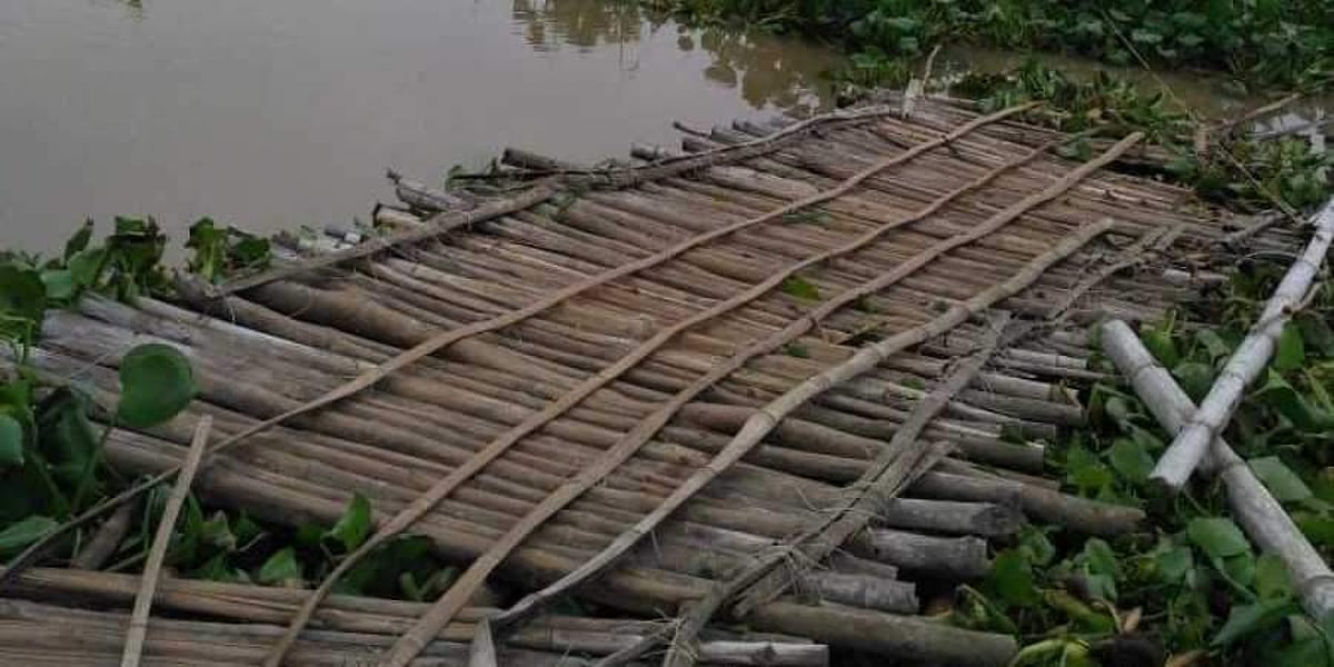 மழைக்காலத்தில் பள்ளிக்குச் செல்ல முடியவில்லை; நீரோடையில் மூங்கில் பாலம் அமைத்து அசத்திய மாணவர்கள்!