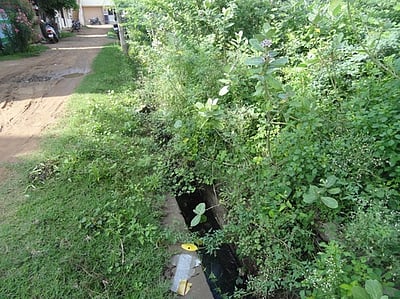 பட்டமரத்தான் நகரில் கழிவுநீா் வாய்க்கால் அடைப்பால் சுகாதாரக்கேடு