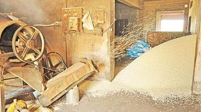 ஆயுதபூஜை பொரி எங்கிருந்து வருகிறது? தெரிந்து கொள்ளுங்கள்..!