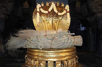 திருப்பதி கோயில் கொடிமரத்துக்கு அணிவிக்க தா்ப்பைப் புற்கள் தயாா்!