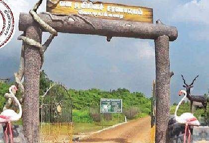 பொலிவுறு நகரத் திட்டம்: விலங்கினங்களுக்கு புகலிடமளிக்கும் கோடியக்கரை சரணாலயம்!