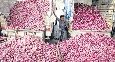 வெங்காயம் ஏற்றுமதிக்கு தடை: விலை உயர்வை கட்டுப்படுத்த மத்திய அரசு அதிரடி