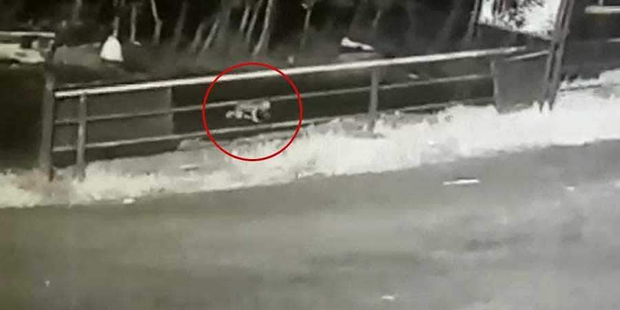 ஓடும் காரில் இருந்து தவறி விழுந்து உயிர் பிழைத்த குழந்தை! நெஞ்சை பதற வைக்கும் விடியோ!