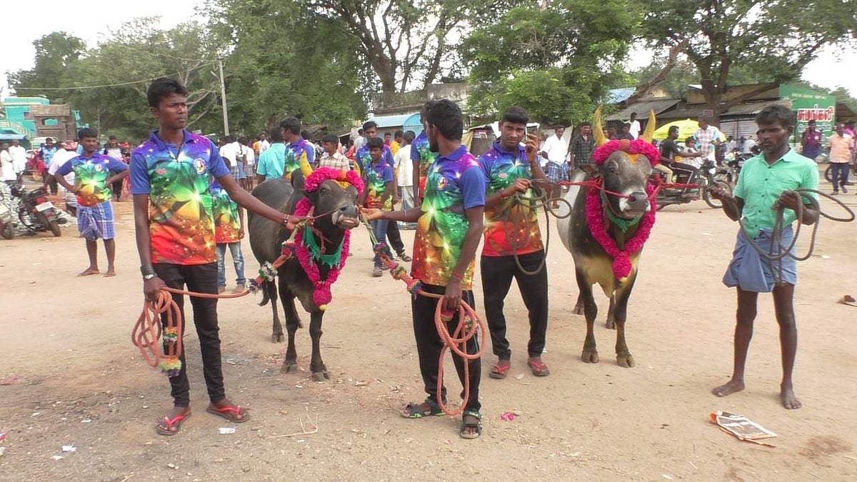 மணப்பாறை அடுத்த கருங்குளம் புனித இஞ்ஞாசியார் ஆலயத்தில் புத்தாண்டு சிறப்பு திருப்பலி