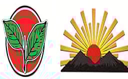 அதிமுகவினா் மீது திமுக ஒன்றியக் குழு தலைவா் புகாா்