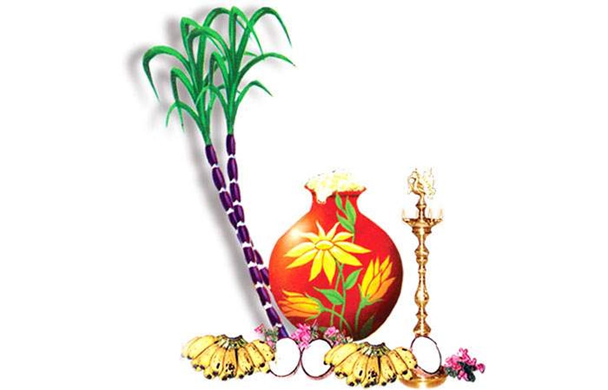 சங்கத் தமிழினத்தின் பெருவிழா; பொங்கல் திருவிழா