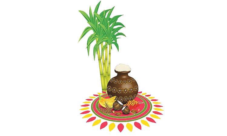 பொங்கல் டிப்ஸ்