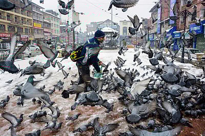 காஷ்மீரில் கடும் பனிப்பொழிவு