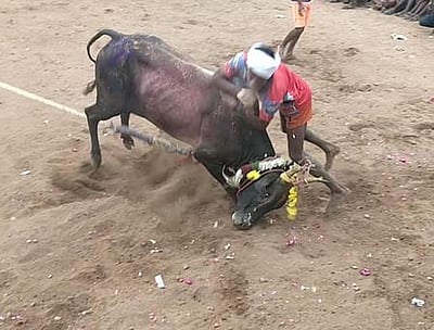 எருது கட்டு விழாவில் இரு கிராமத்தினரிடையே மோதல் -போலீஸாா் தடியடி