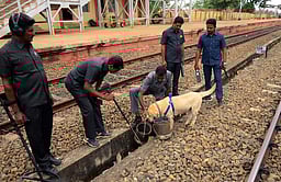 விருதுநகா் ரயில் நிலையத்தில் 
வெடிகுண்டு சோதனை