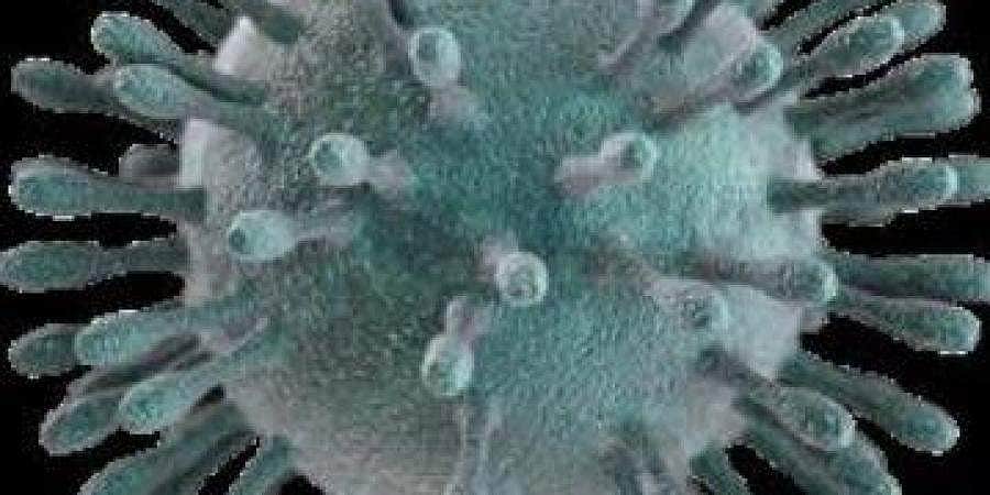 கரோனா வைரஸ்: கேரள சுற்றுலாத்துறையின் புதிய விதிகள் அறிமுகம்