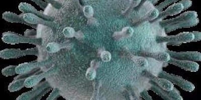 சீனாவை தவிர்த்து மற்ற நாடுகளில் கடந்த 24 மணிநேரத்தில் 1500 பேருக்கு கரோனா பாதிப்பு: உலக சுகாதார அமைப்பு