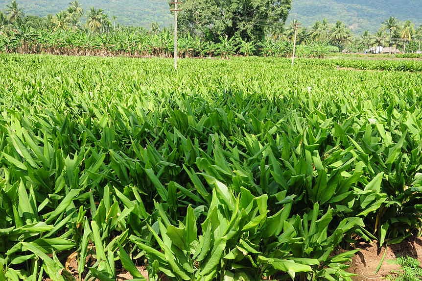 சேந்தமங்கலத்தில் ஆறுமுனைப் போட்டி?