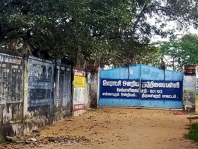 திருவள்ளூர் மாவட்ட அரசுப்பள்ளியில் குரங்குகள் தொல்லை; மாணவர்கள் அவதி