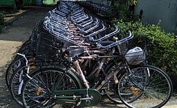 289 மாணவிகளுக்கு விலையில்லா மிதிவண்டிகள்