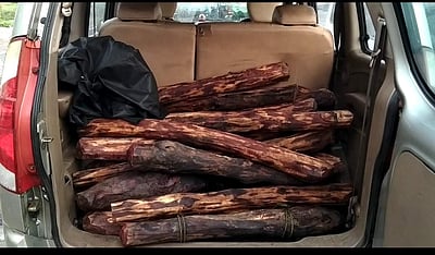 ஆந்திரத்திலிருந்து சென்னைக்கு கடத்த முயன்ற ஒரு டன் செம்மரக்கட்டைகள் பறிமுதல்: ஒருவர் கைது