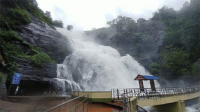 குற்றாலம் அருவிகளில் 3-வது நாளாக வெள்ளப்பெருக்கு