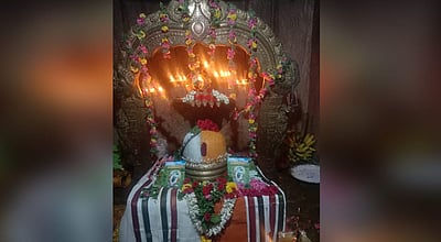 திருச்சுழியில் வெள்ளியம்பலநாதர் கோவிலில் பிரதோச வழிபாடு