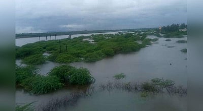 மகாராஷ்டிரத்தில் கனமழை: விவசாயிகளுக்கு இழப்பீடு வழங்கக் கோரிக்கை